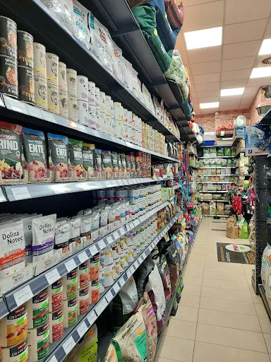 Ale Animale Mielec Galeria Aura